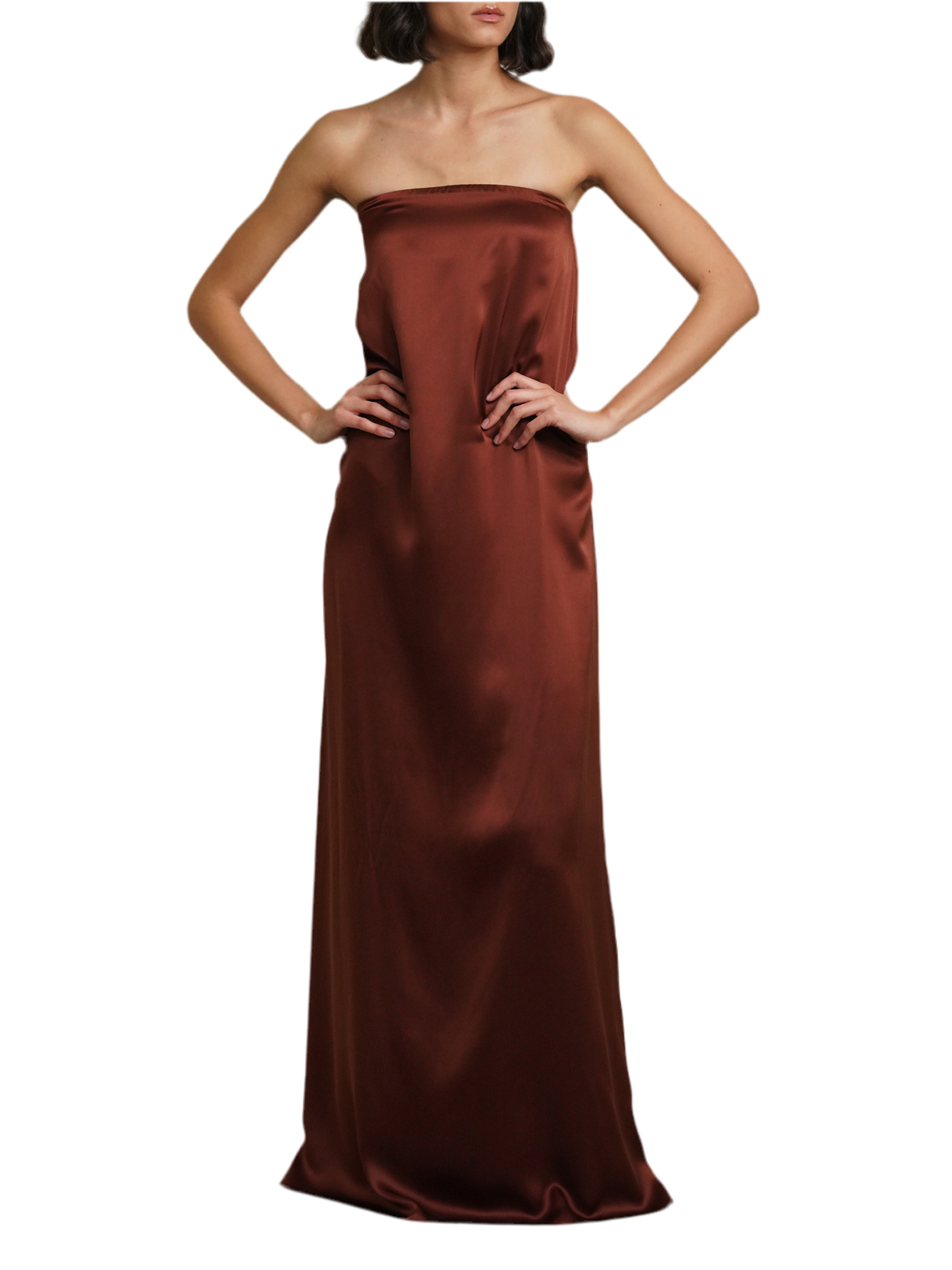 Arden Strapless Dress