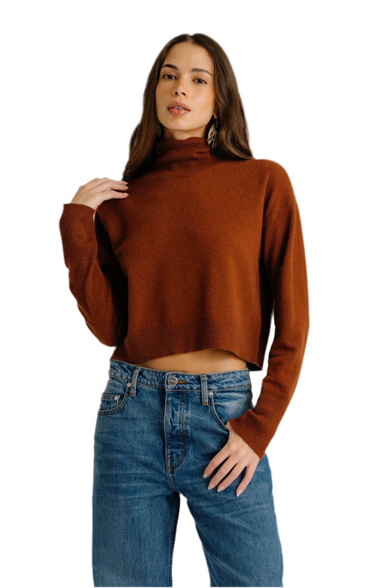 Sable Turtleneck Sweater