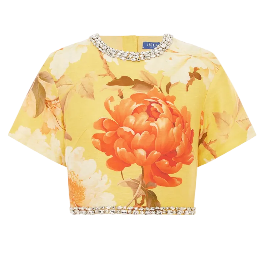 Indie Embellished Sleeve Top