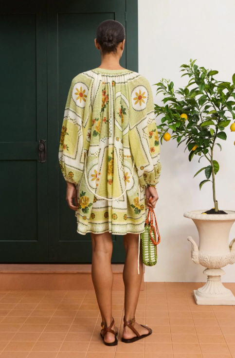 Dixie Mini Dress