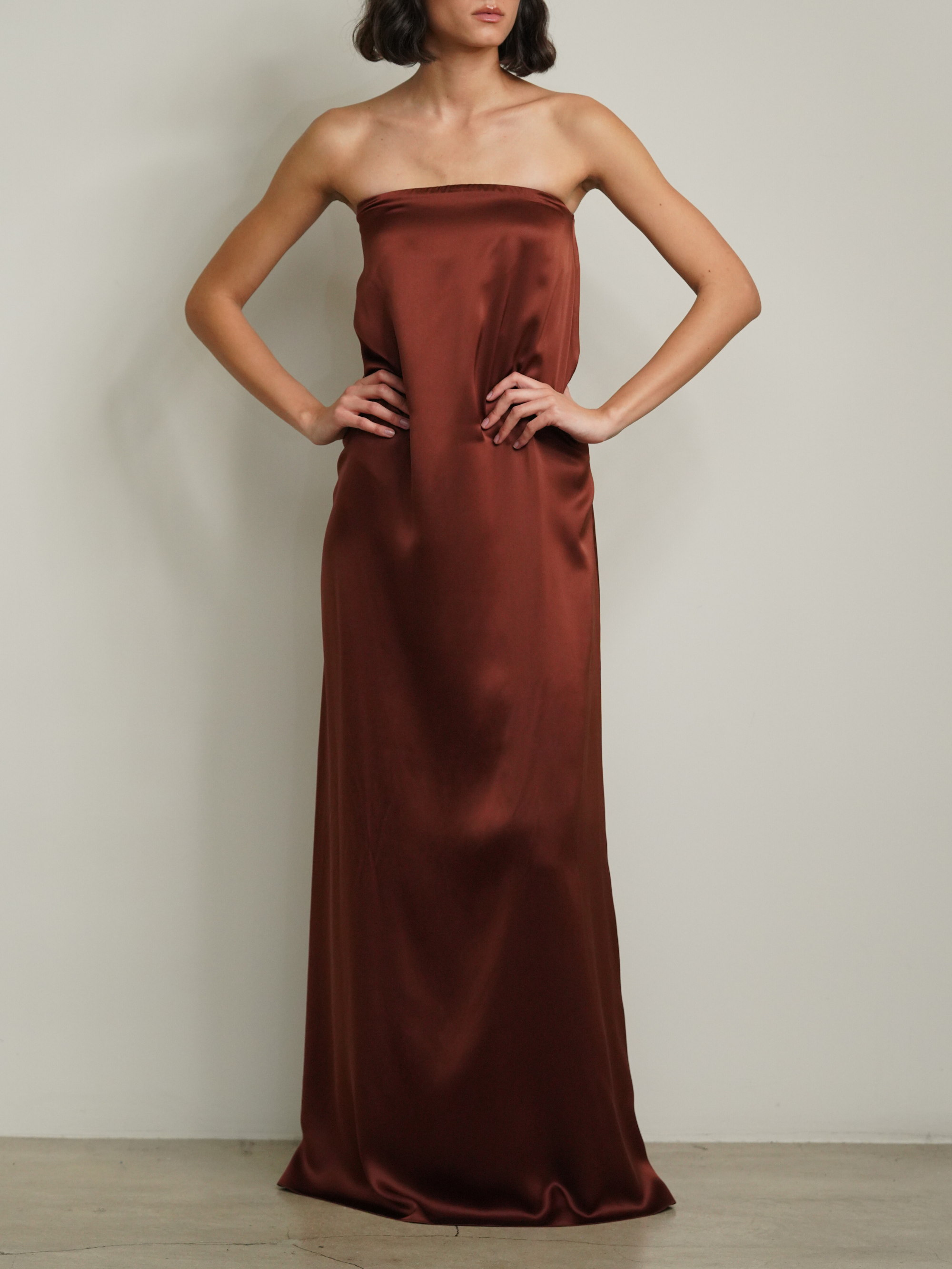 Arden Strapless Dress