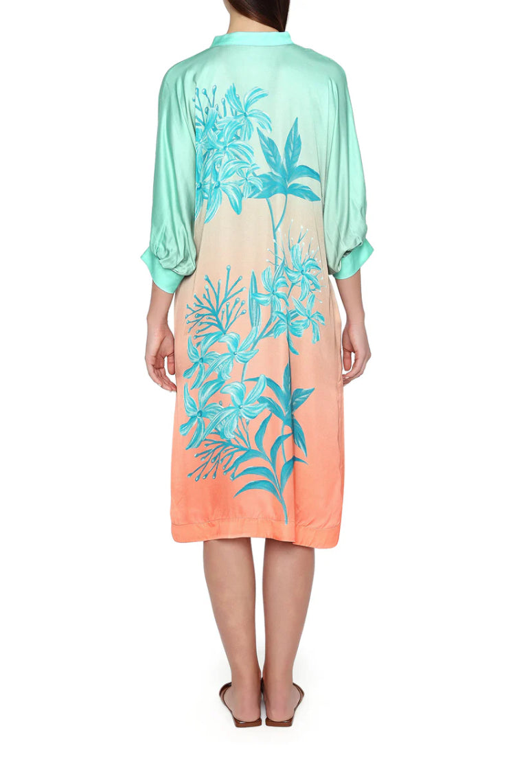 Rani Kaftan Dress