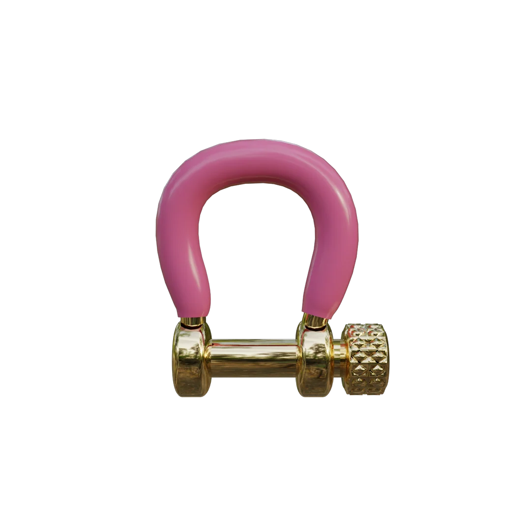 Pink Carabiner