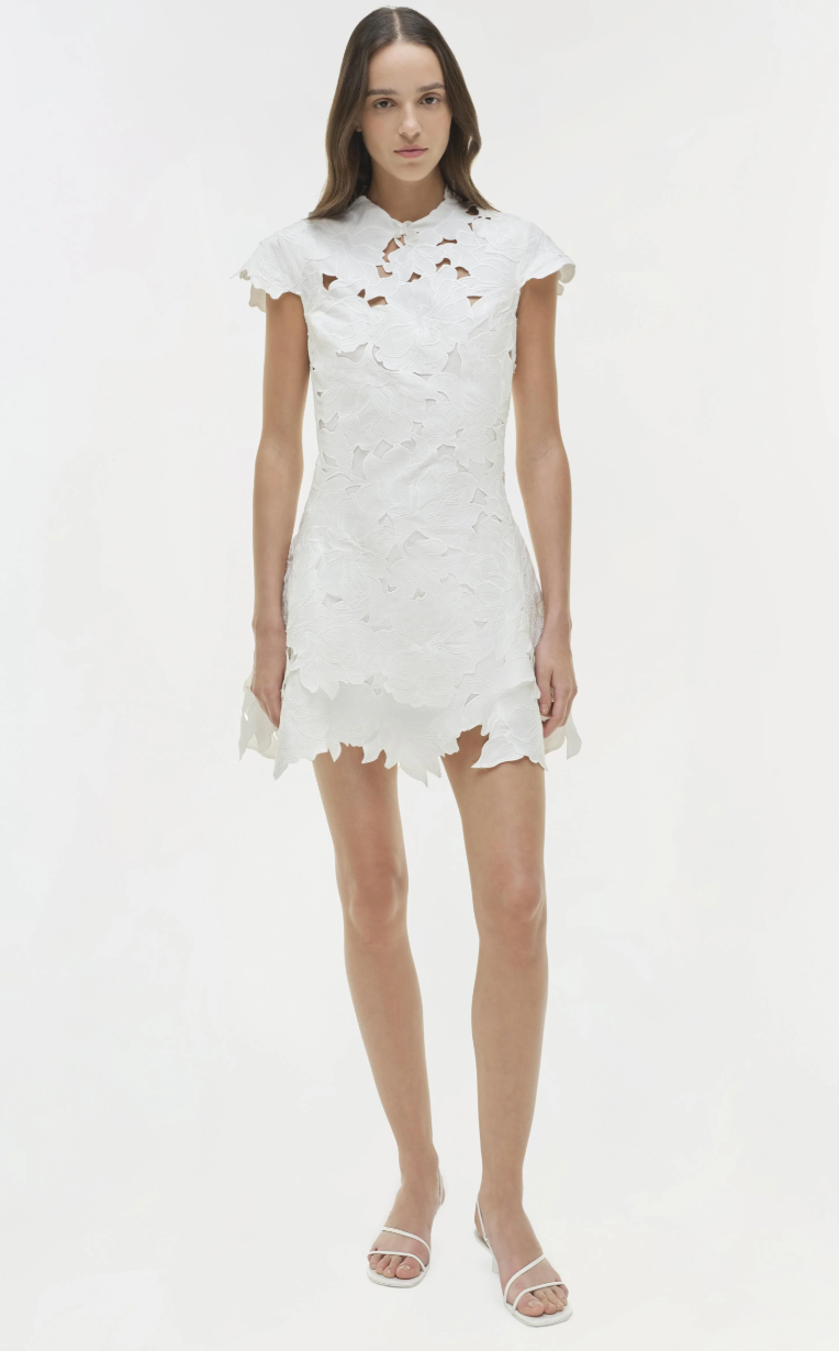 Holloway Mini Dress