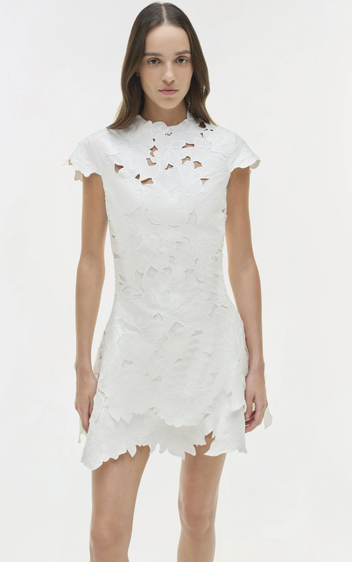 Holloway Mini Dress