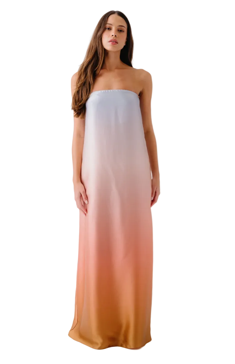 Arden Strapless Ombre Maxi Dress