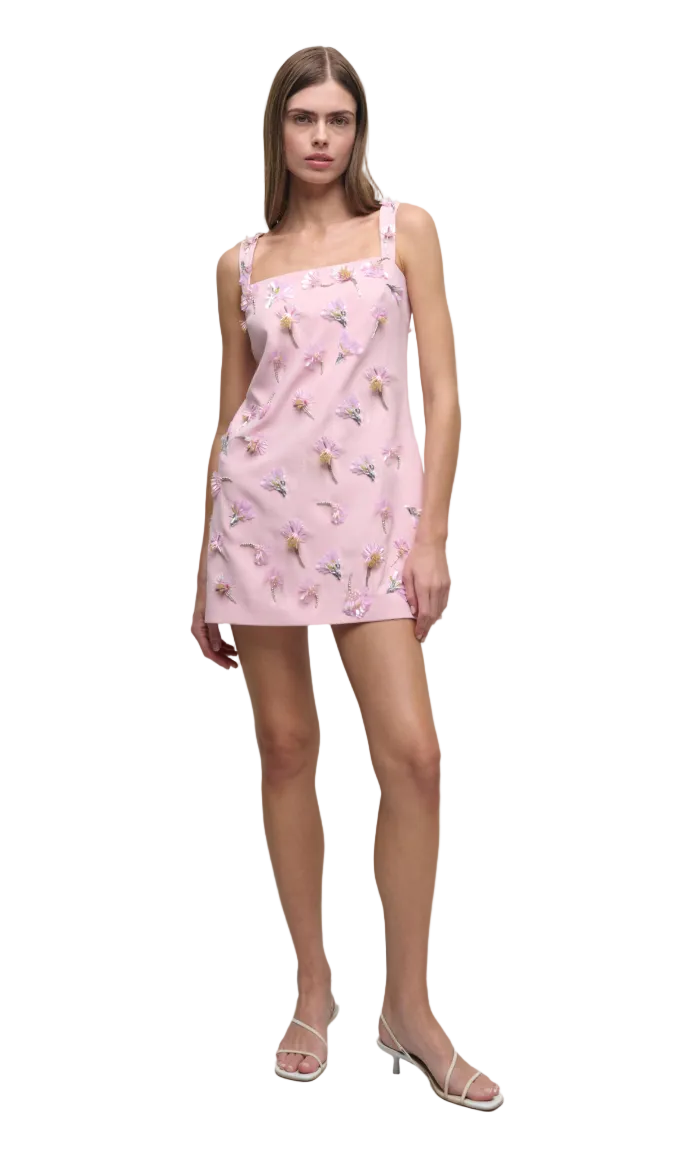 Ella Embellished Mini Dress